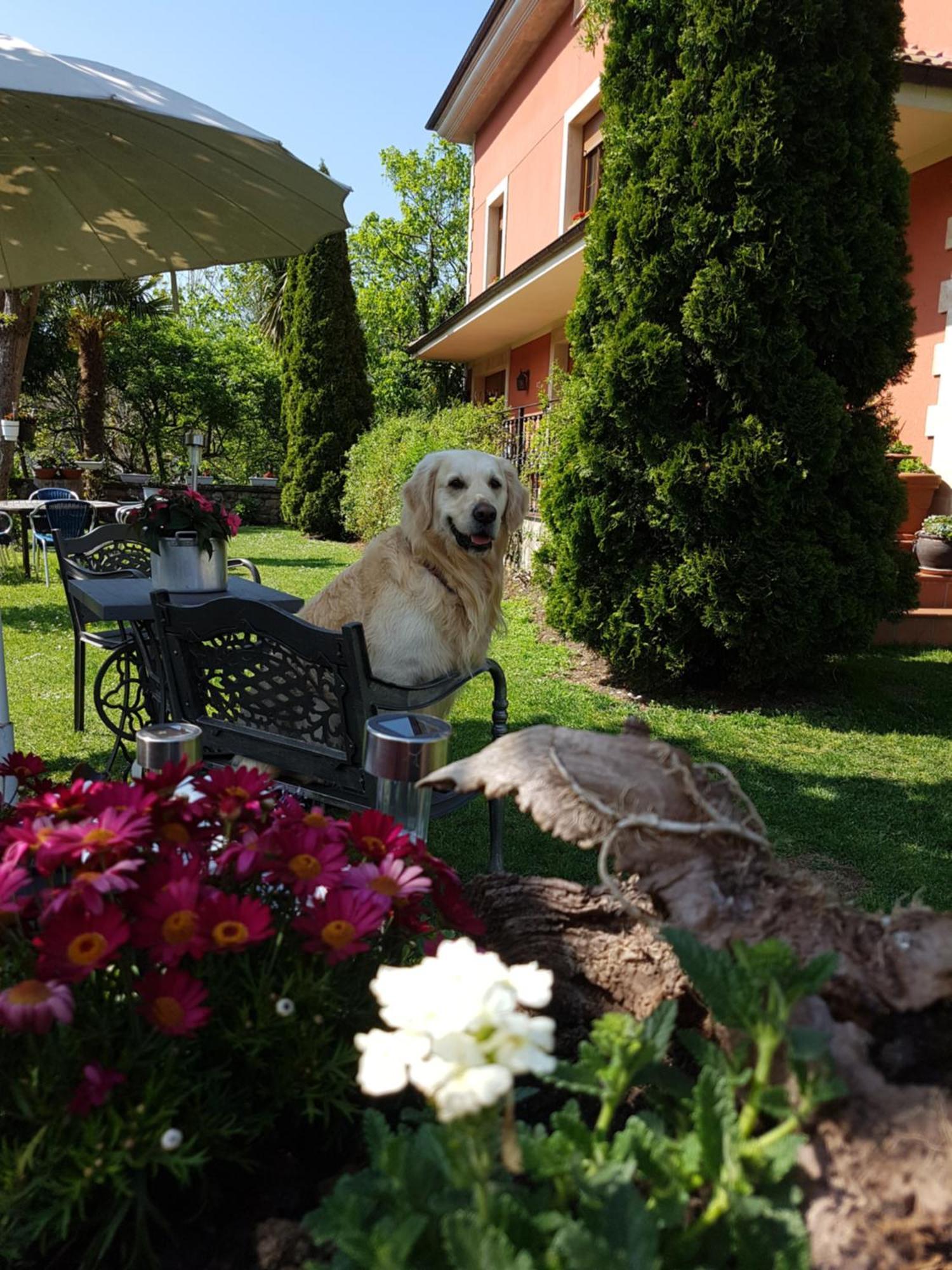 Hotel Rural El Torrejon Arenas De Cabrales Eksteriør bilde