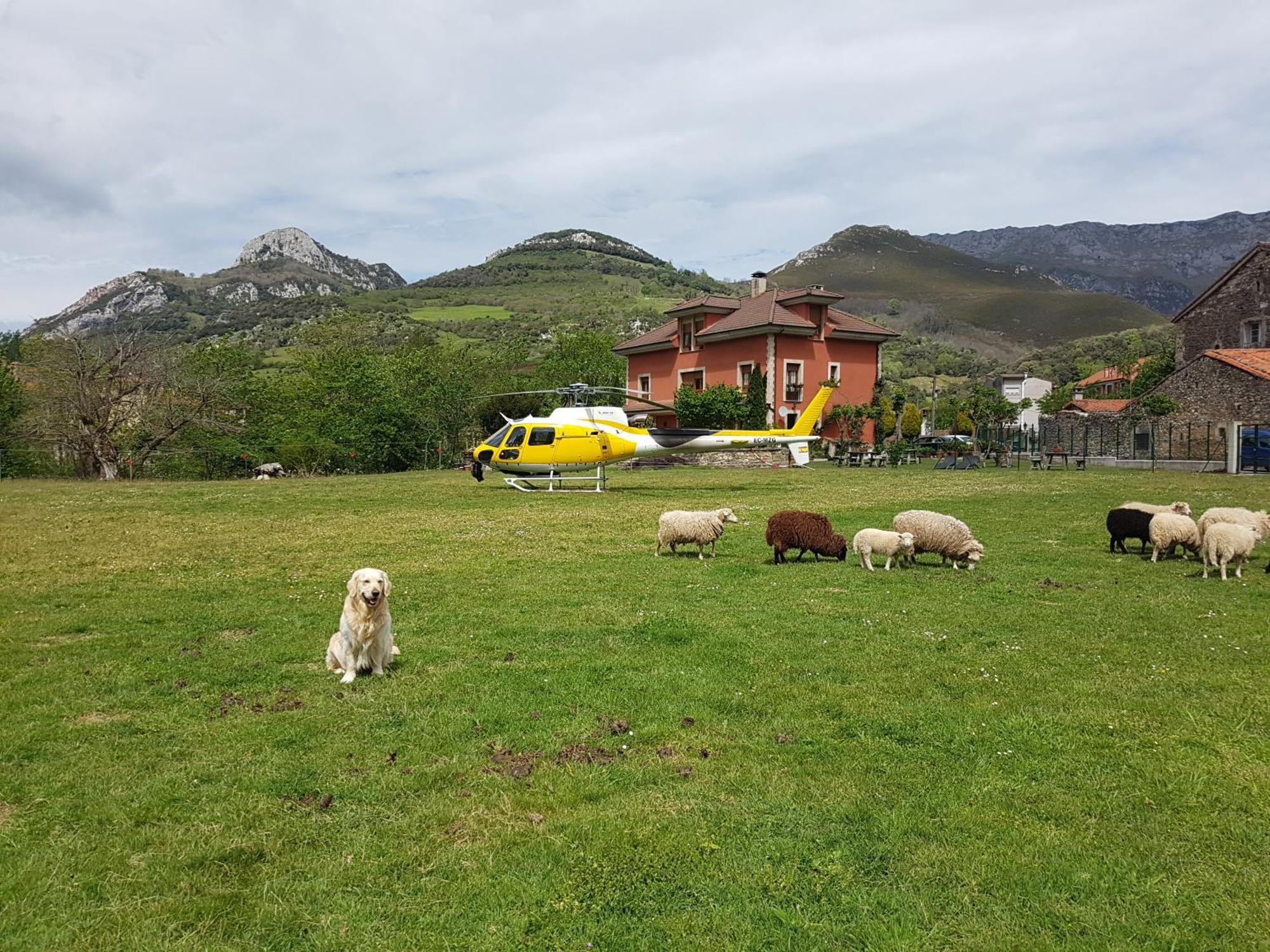 Hotel Rural El Torrejon Arenas De Cabrales Eksteriør bilde