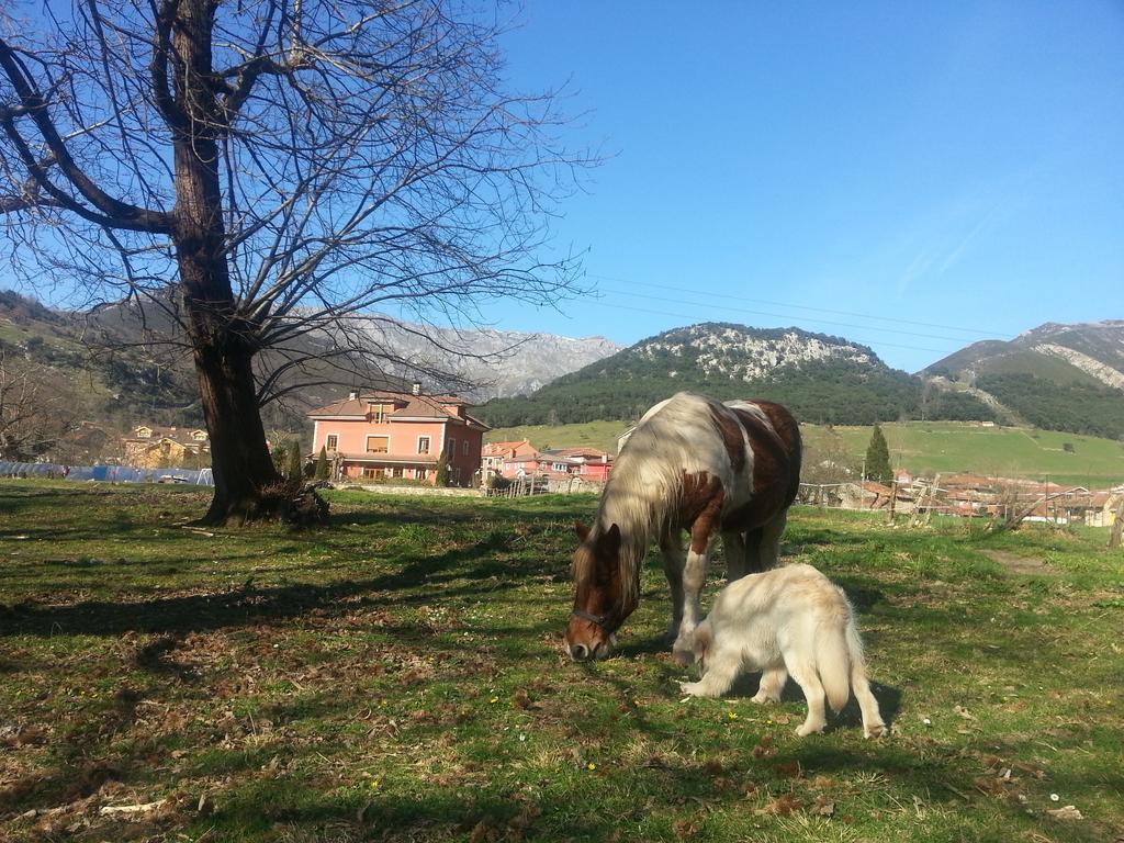Hotel Rural El Torrejon Arenas De Cabrales Eksteriør bilde